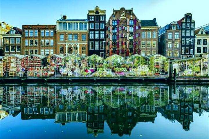 Escorts Schuttersveld, Netherlands — Local Companions