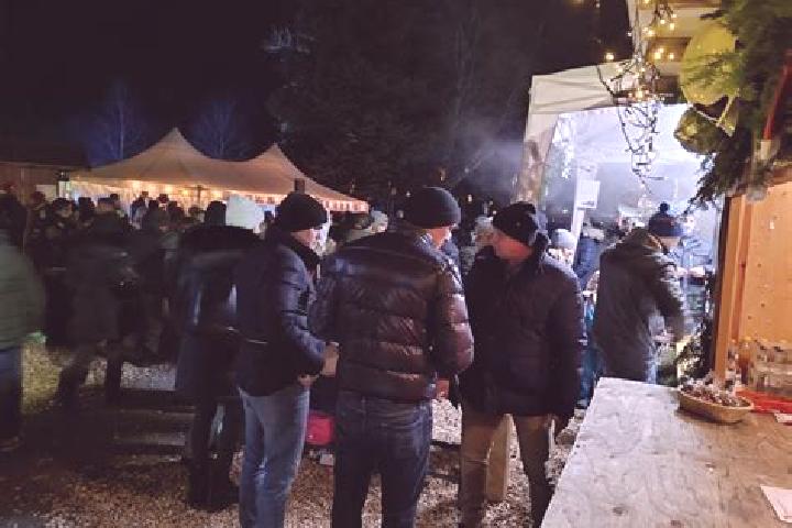 Escorts Schwarzau am Steinfeld, Austria — Local Companions