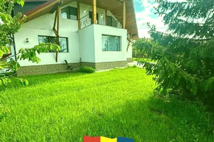 Escorts Scorteni, Romania — Local Companions
