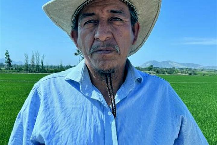 Escorts Sebampo, Mexico — Local Companions