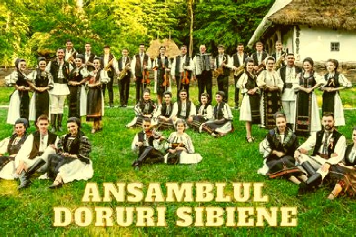 Escorts Sebesu de Jos, Romania — Local Companions