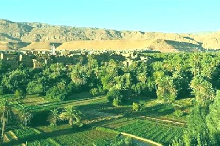 Escorts Sebt Bni Garfett, Morocco — Local Companions