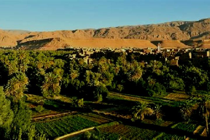 Escorts Sebt Jahjouh, Morocco — Local Companions