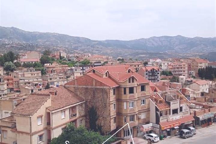Escorts Seddouk, Algeria — Local Companions