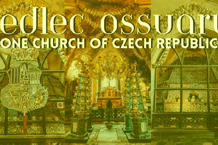 Escorts Sedlec, Czech Republic — Local Companions