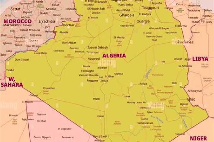 Escorts Sedrata, Algeria — Local Companions