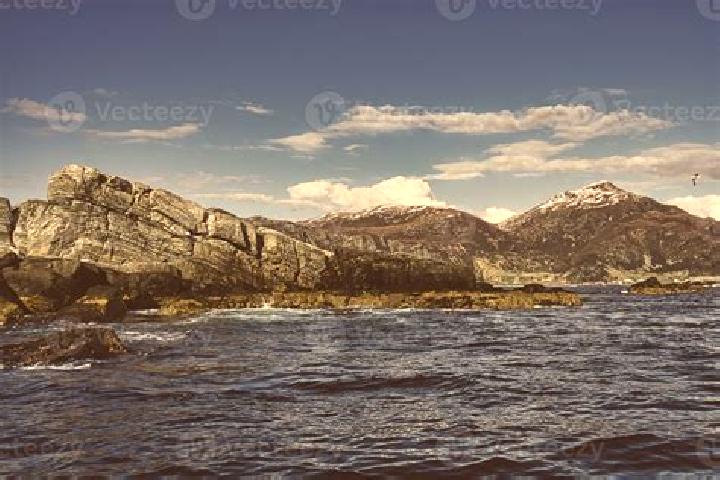 Escorts Selje, Norway — Local Companions