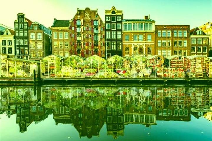Escorts Selwerd, Netherlands — Local Companions