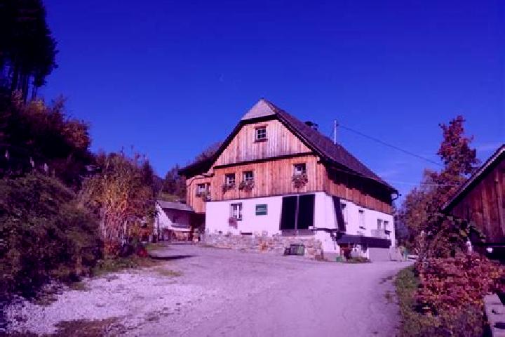 Escorts Selzthal, Austria — Local Companions