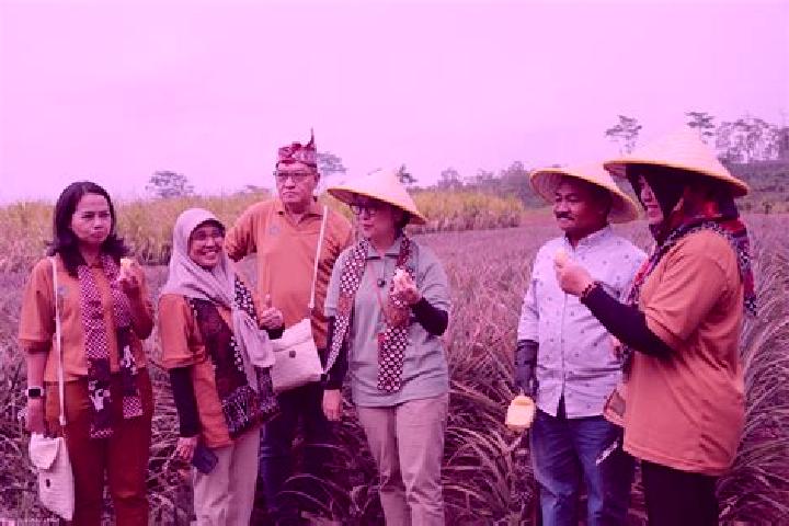 Escorts Sempu, Indonesia — Local Companions