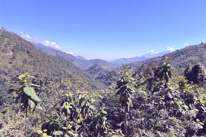Escorts Senahu, Guatemala — Local Companions