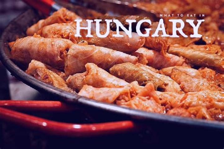 Escorts Seregelyes, Hungary — Local Companions