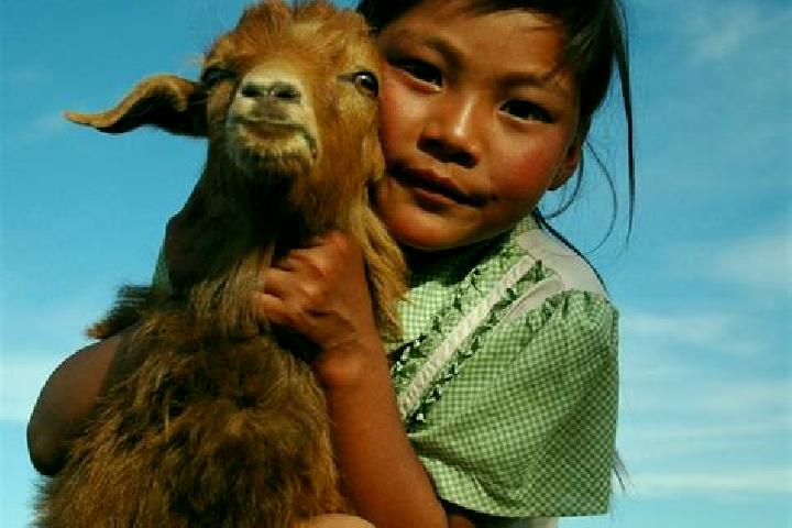 Escorts Sergelen, Mongolia — Local Companions