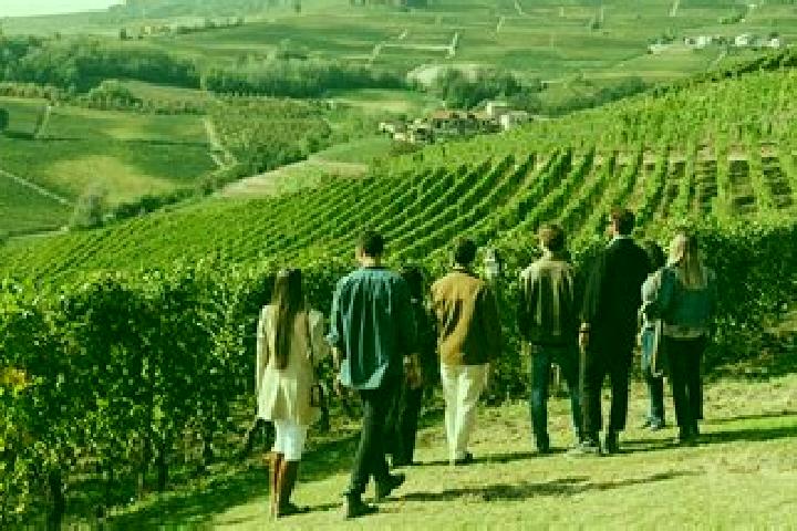 Escorts Serravalle Langhe, Italy — Local Companions