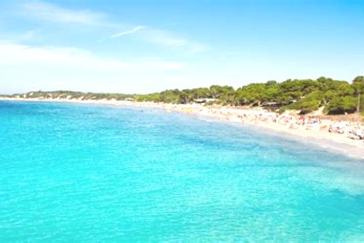 Escorts Ses Salines, Spain — Local Companions