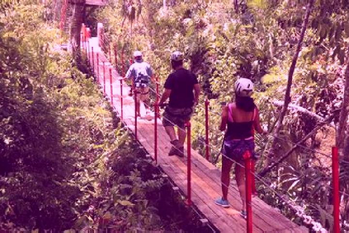 Escorts Seven Miles El Progresso, Belize — Local Companions