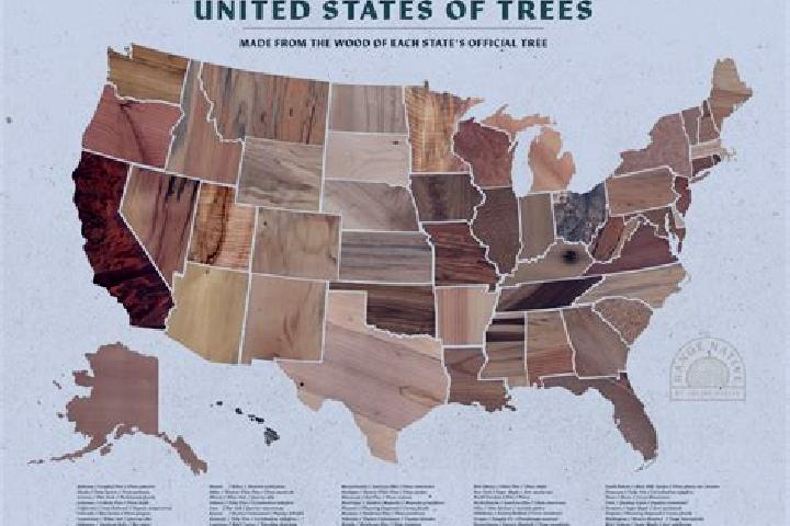 Escorts Seven Trees, United States — Local Companions