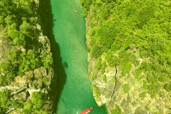 Escorts Shales, Albania — Local Companions