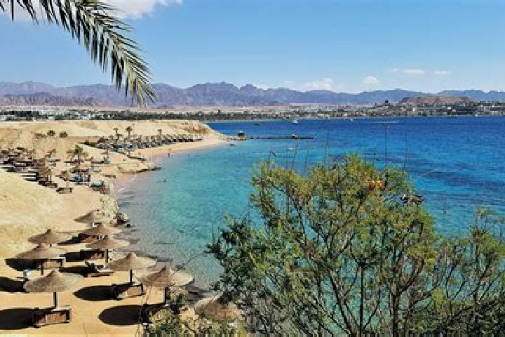 Escorts Sharm el-Sheikh, Egypt — Local Companions