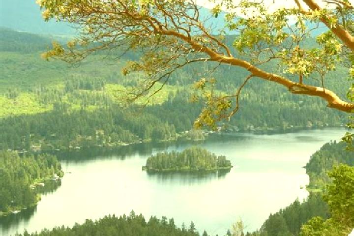 Escorts Shawnigan Lake, Canada — Local Companions