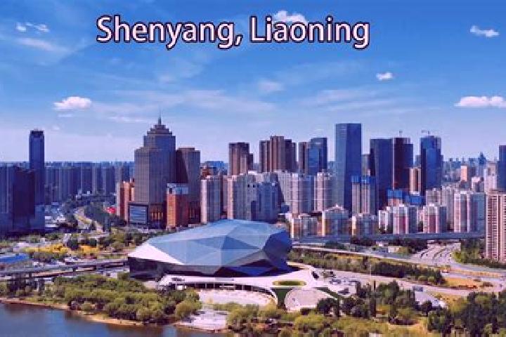 Escorts Shayang, China — Local Companions