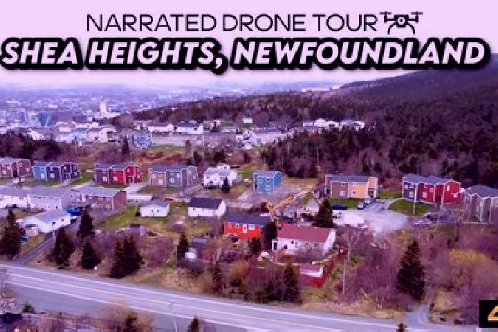 Escorts Shea Heights, Canada — Local Companions