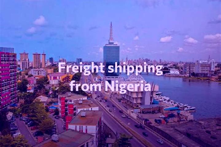 Escorts Shelleng, Nigeria — Local Companions