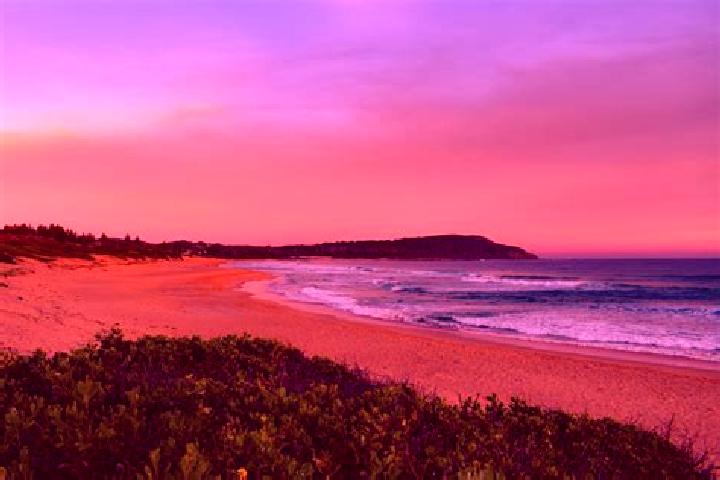 Escorts Shelly Beach, Australia — Local Companions