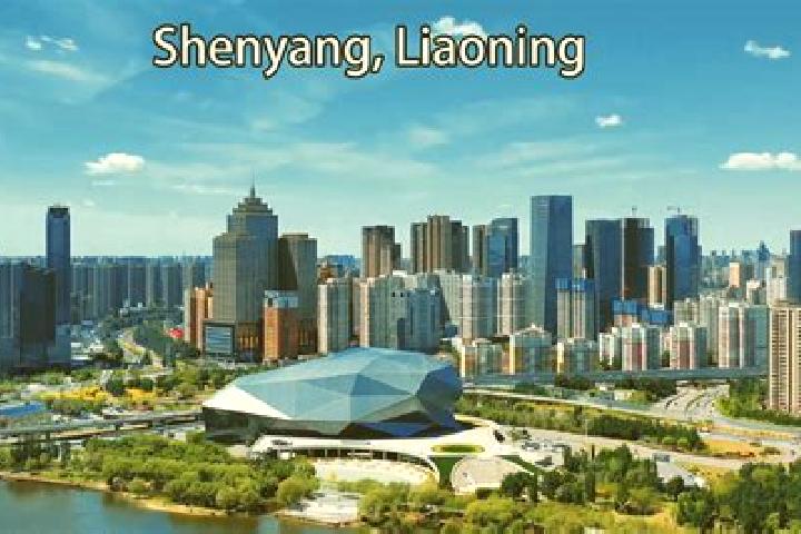 Escorts Shengang, China — Local Companions
