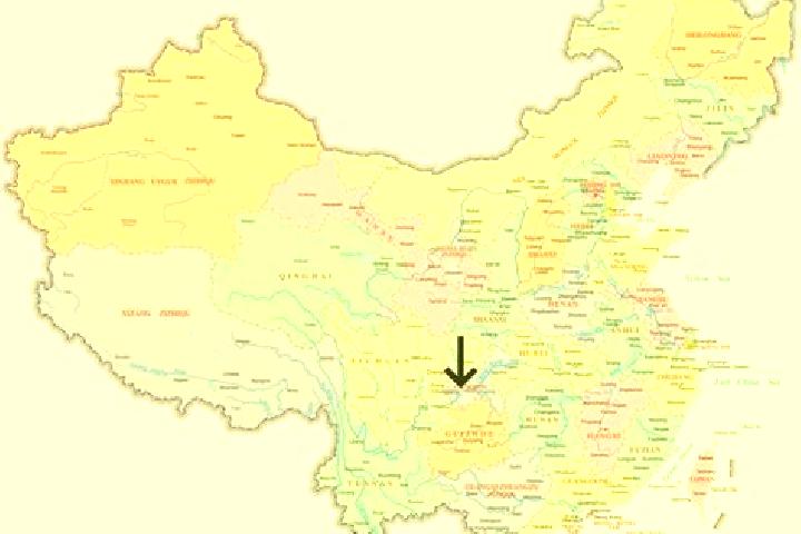 Escorts Shentang, China — Local Companions