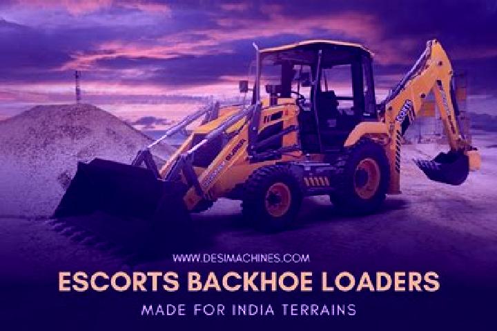 Escorts Shikaripura, India — Local Companions