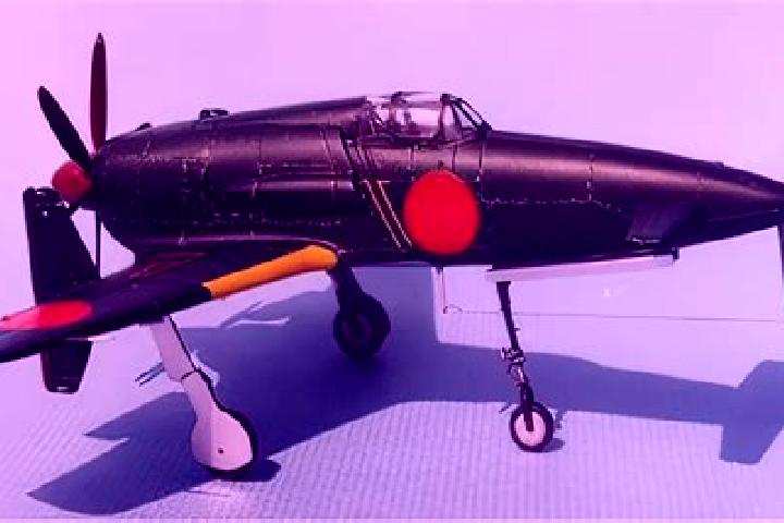 Escorts Shinden, Japan — Local Companions