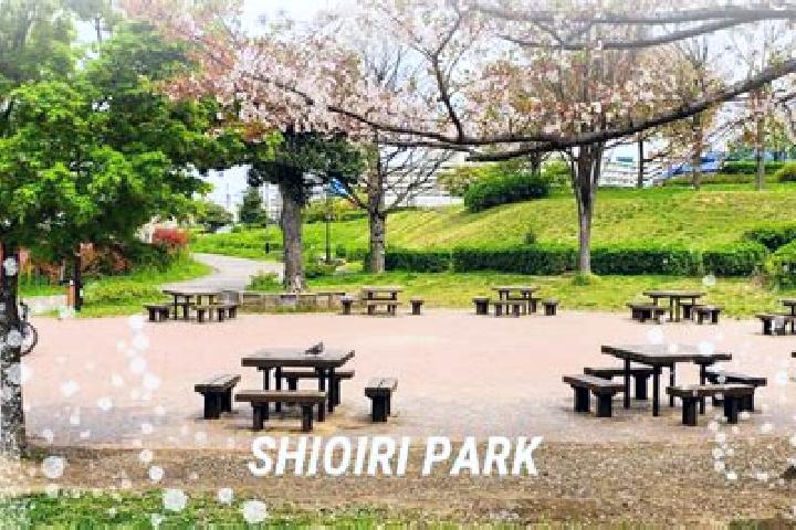 Escorts Shioiri, Japan — Local Companions