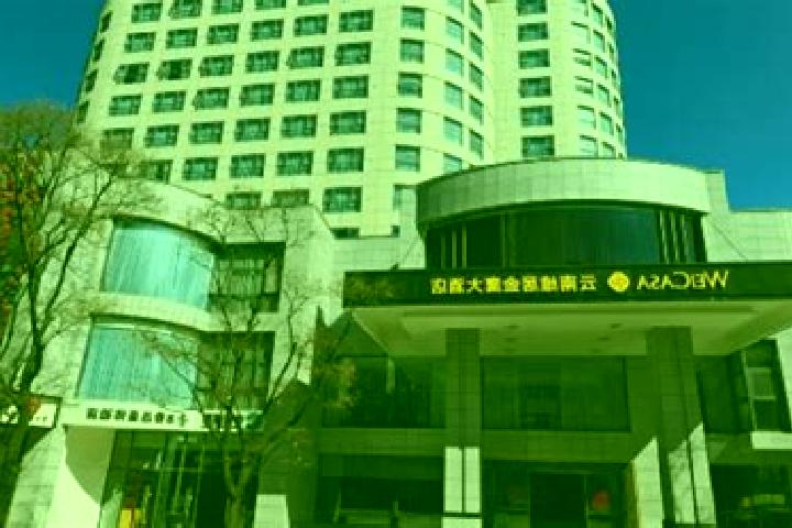 Escorts Shuangqiao, China — Local Companions