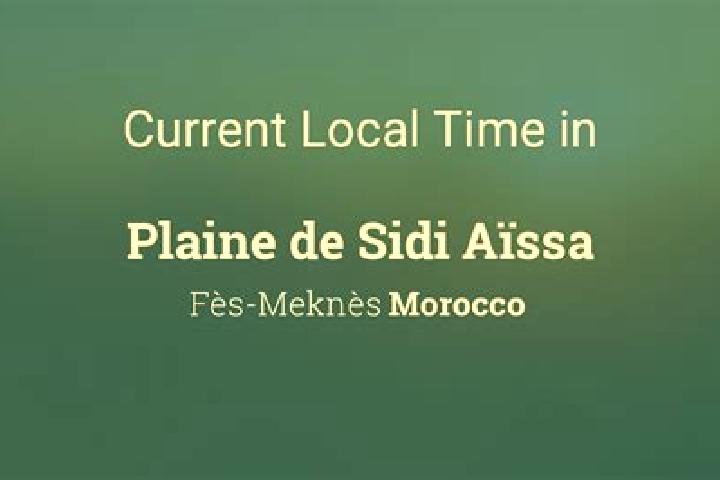 Escorts Sidi Aissa, Algeria — Local Companions