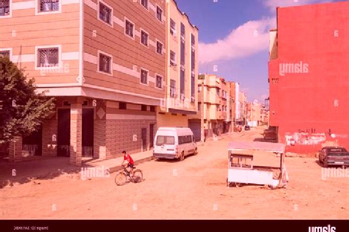 Escorts Sidi Slimane, Morocco — Local Companions