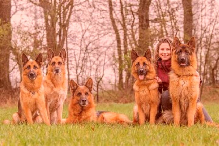 Escorts Siek, Germany — Local Companions