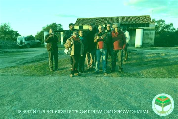 Escorts Sierra de Fuentes, Spain — Local Companions