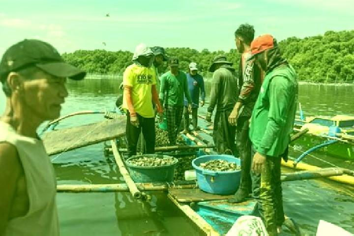 Escorts Sinacaban, Philippines — Local Companions
