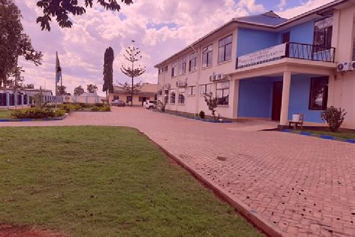 Escorts Singida, Tanzania — Local Companions