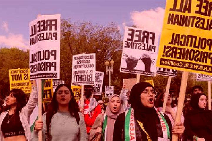 Escorts Siris, Palestine — Local Companions