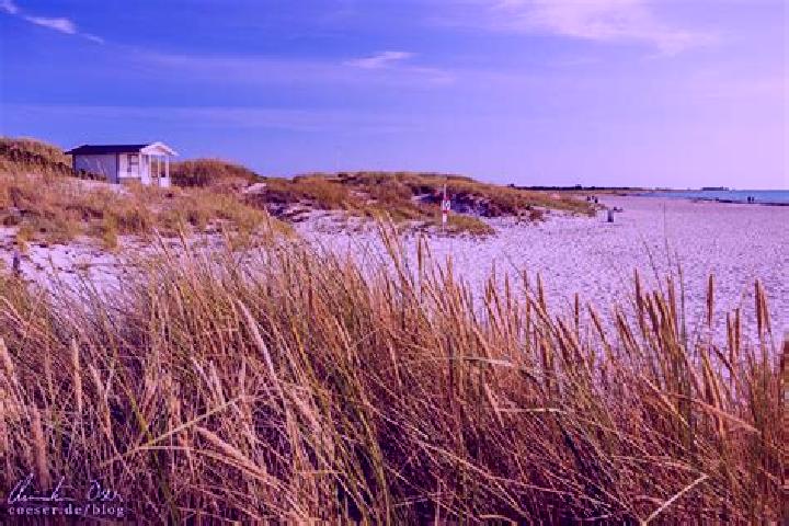 Escorts Skanoer med Falsterbo, Sweden — Local Companions