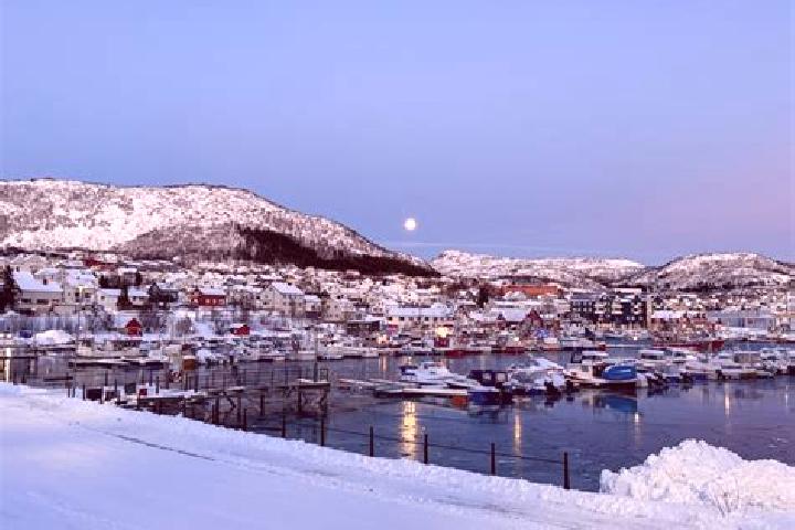 Escorts Skjervoy, Norway — Local Companions