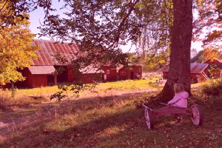 Escorts Skogsby, Sweden — Local Companions