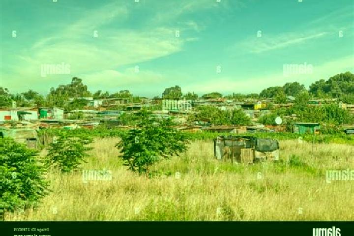 Escorts Skoonplaas, South Africa — Local Companions