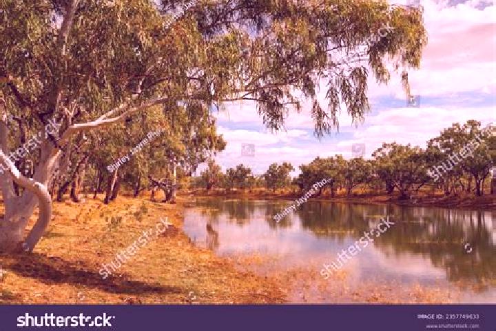Escorts Slacks Creek, Australia — Local Companions