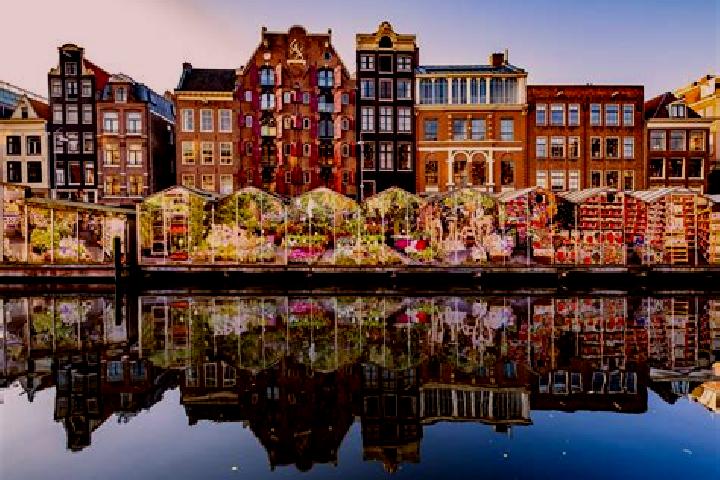 Escorts Slootdorp, Netherlands — Local Companions