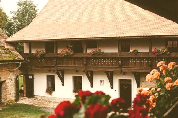 Escorts Sloupnice, Czech Republic — Local Companions