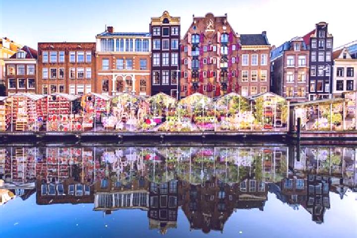 Escorts Sluiskil, Netherlands — Local Companions