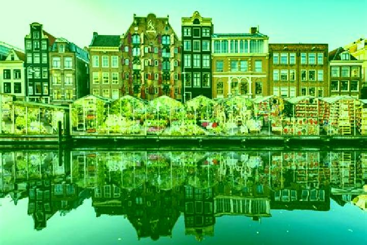 Escorts Soesterberg, Netherlands — Local Companions